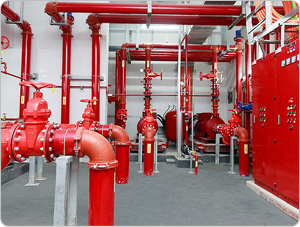 Tổng thể quy hoạch 1